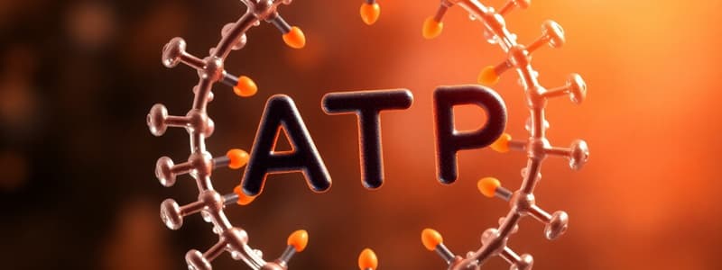 Biochemistry: ATP Structure and Energy Types