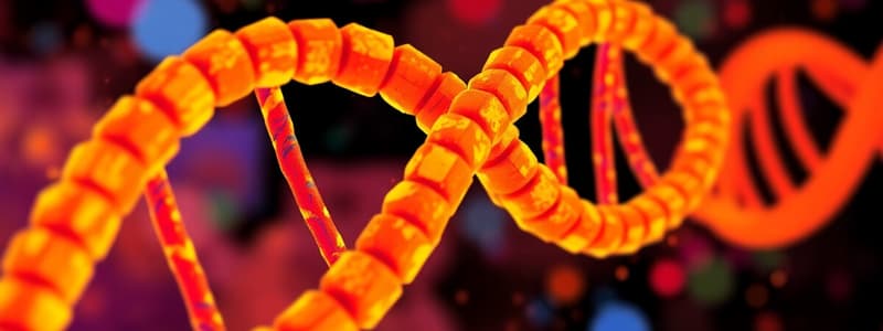 Biochemistry Chapter 8: Nucleotides and Acids