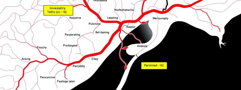 Pharmacology Parenteral Routes