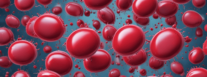 Biochemistry Quiz: Blood Types, Hyaluronan, and Carbohydrate Molecules