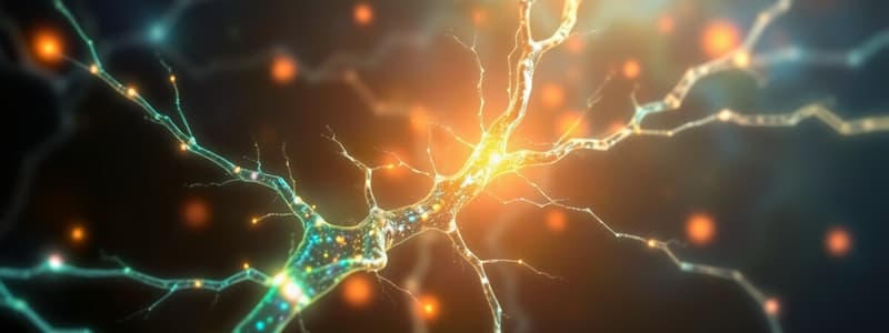 Annexe: Axonal Guidance Mechanisms