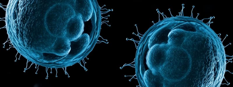 Cell Division and the Cell Cycle Quiz