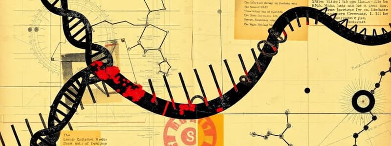 Enzymatic Differences in DNA Replication