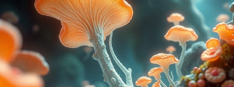 Characteristics of Fungi