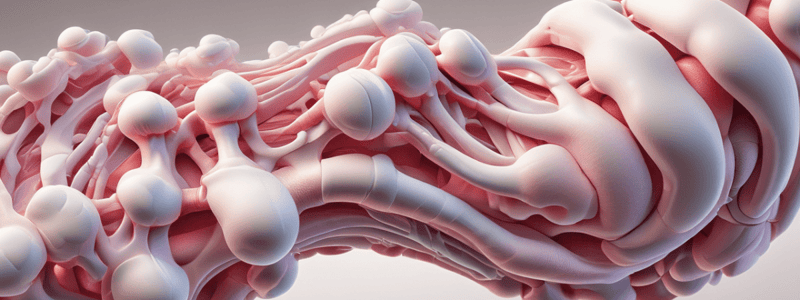 Sclerostin Inhibitors and Bone Formation Quiz