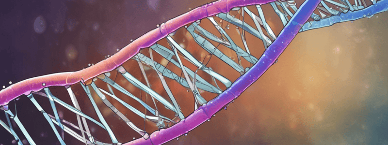 Molecular Genetics: DNA Replication and Mutagenesis