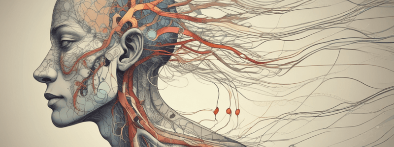 Parasympathetic Nervous System Pathways