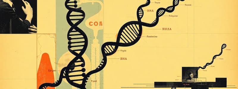 RNA Types and Functions