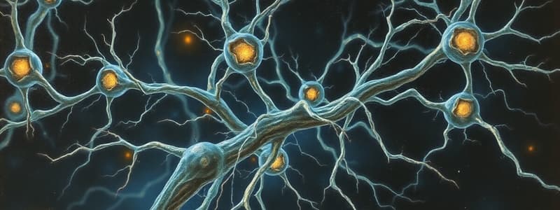 Neuroscience Overview Quiz