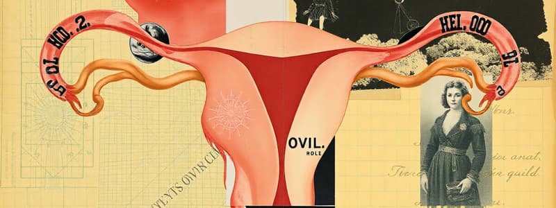 Ovarian Cycle and Menstrual Cycle Overview