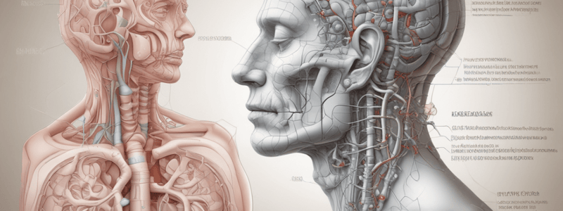 Respiratory System Quiz: Dyspnoea, Wheeze, and Infections