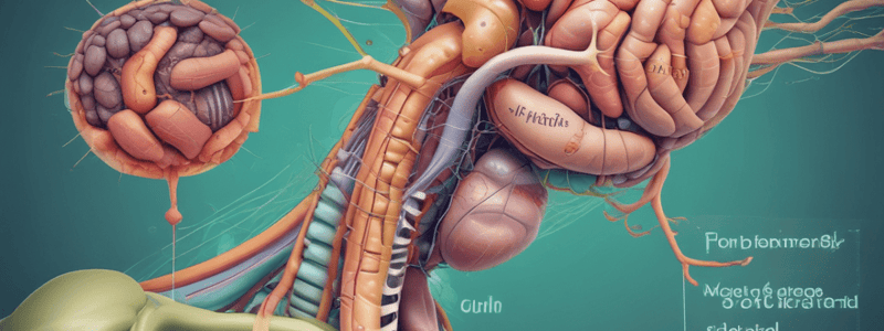 Gastrointestinal System and Coeliac Disease