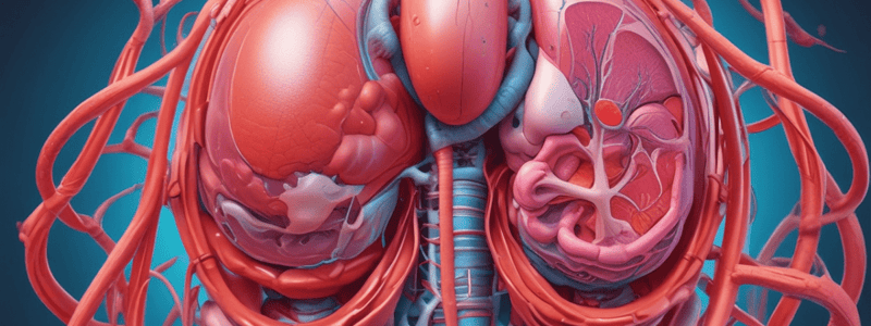 24.2 Gross Anatomy of the Kidney