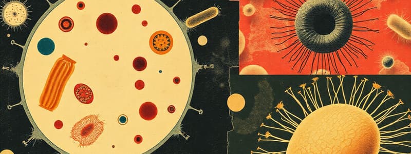 Prokaryotic vs. Eukaryotic Cells