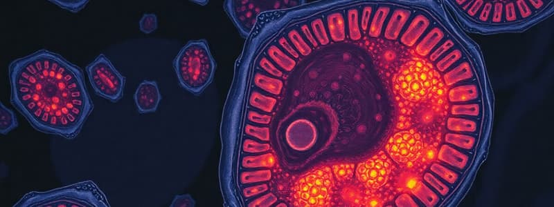 Biology Chapter 5: Cells and Microscopy