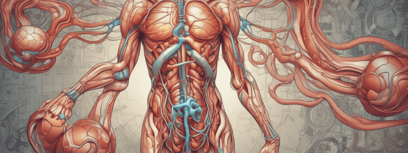 Human Physiology: The Urinary System