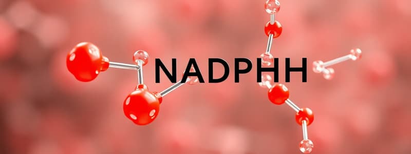 Biochemistry NADPH and Oxidative Stress