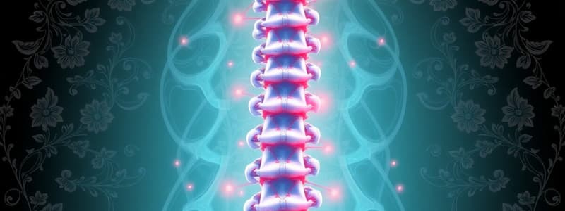 Central Lumbar Stenosis Causes and Effects