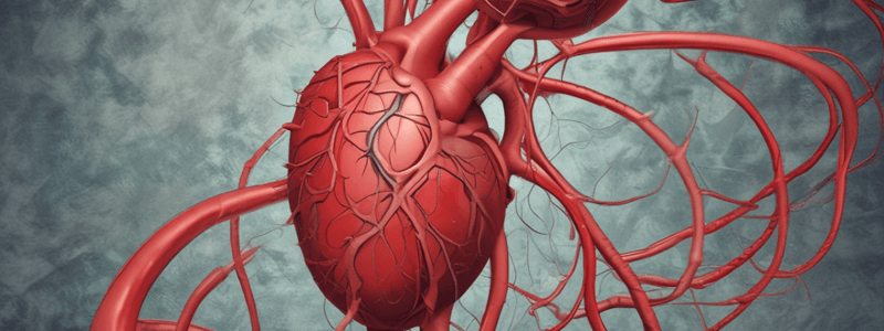 Enfermedad Vascular Periférica y Aneurisma de Aorta Abdominal