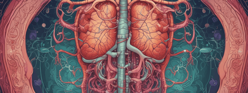 Inmunidad en el Sistema Digestivo