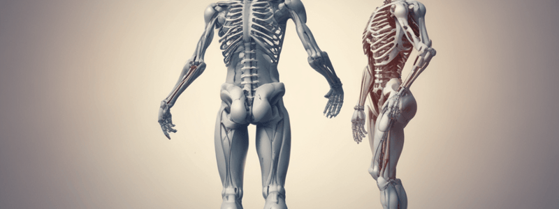 Orthopedic Medicine and Musculoskeletal Disorders