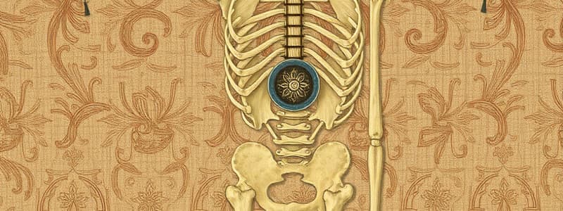 RT Biomechanics: Lever Systems Quiz