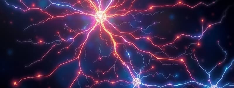 Neuroscienze: Mielinizzazione e Conduzione Nervosa (Fisio5)