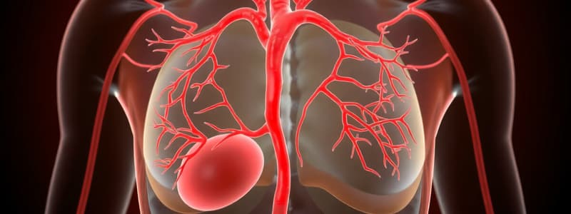 Human Circulatory System Overview