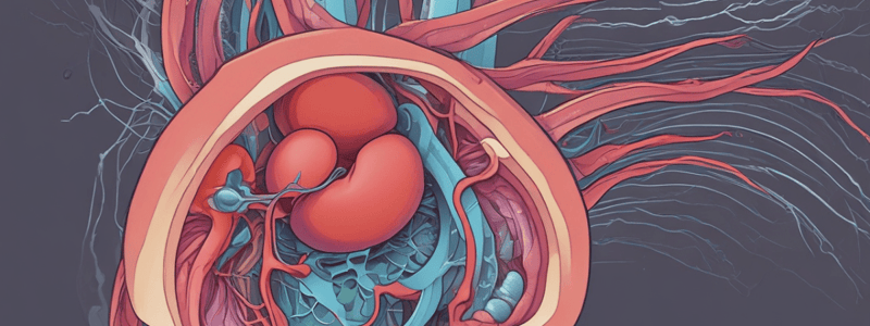 Urinary System Microanatomy- Pt 1