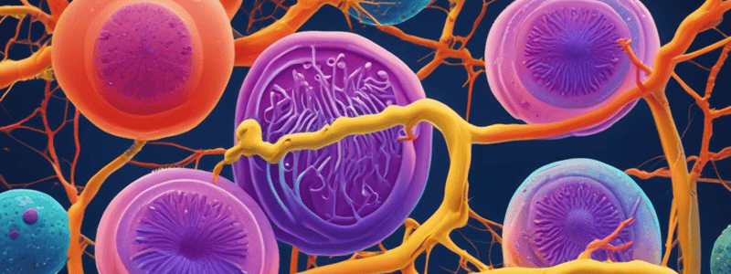 Cell Division and Genome Quiz