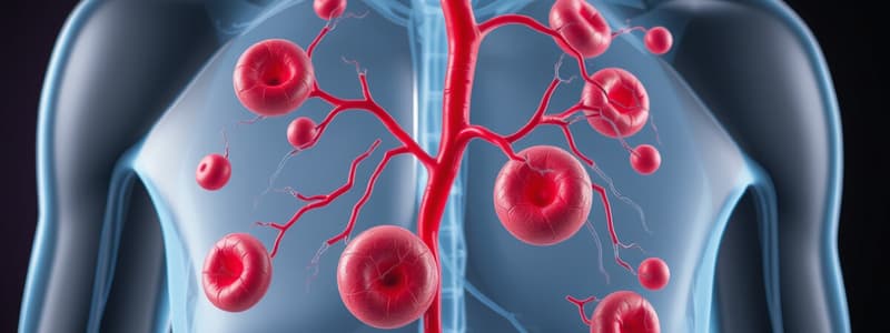 Introduction to the Circulatory System