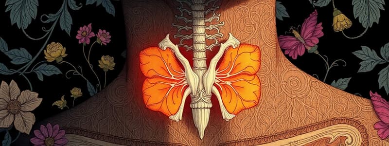 Glande Thyroïde: Définition et Épidémiologie