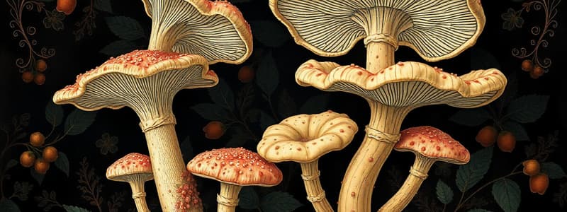 Introduction to Fungi and Their Classification