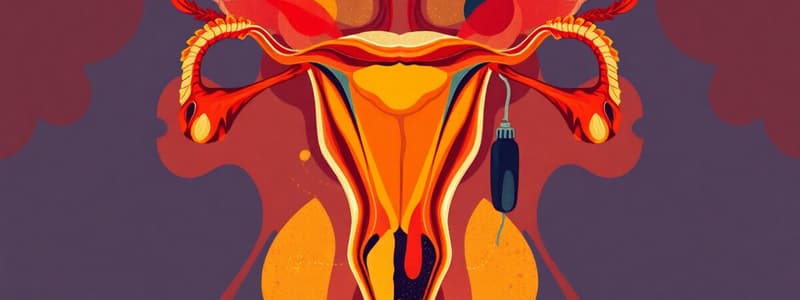 Male Reproductive System Quiz