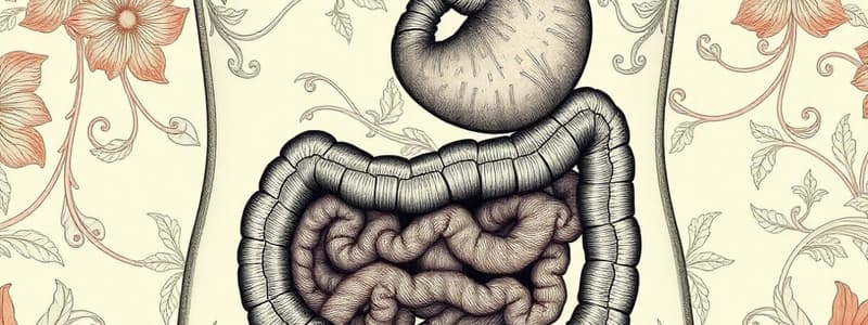 Gastrointestinal System Quiz