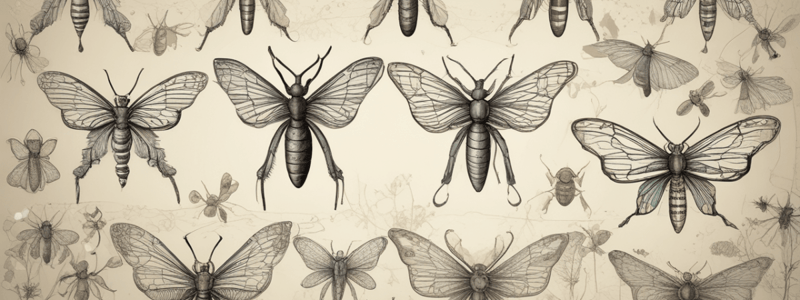 Insect Evolution and Animal Behavior Quiz