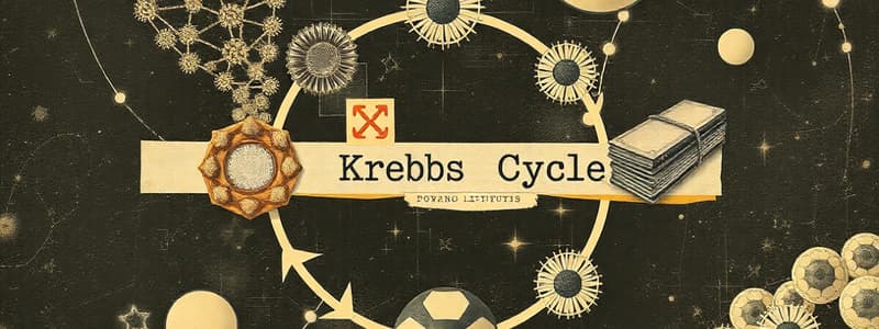 Ciclo de Krebs: Regulación y Metabolismo