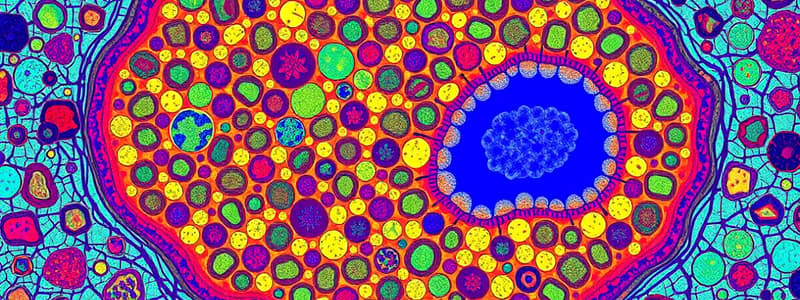 Four Basic Tissue Types and Epithelial Tissue