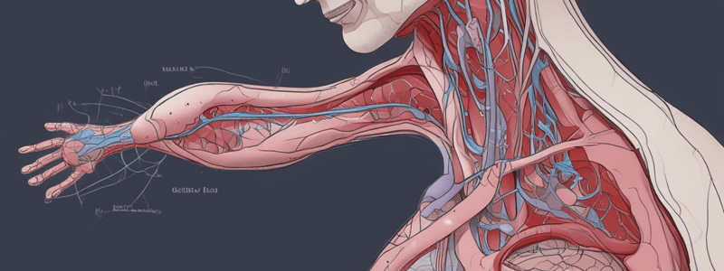 Renal Excretory Pathways