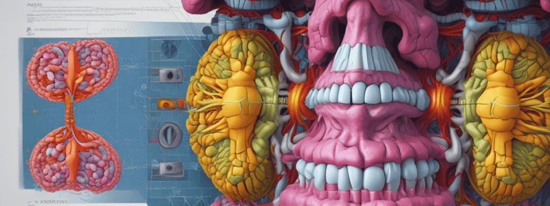 Interpolation Algorithms in Computed Tomography Equipments