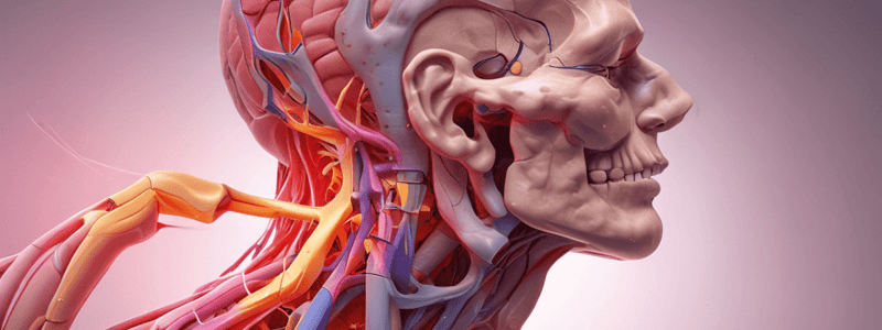 Cervicogenic Headache Overview