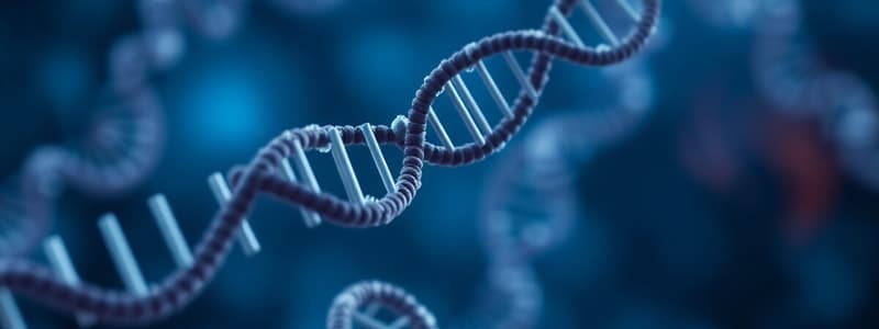 Transcription and RNA Processing - Pierce Chapters 13 & 14