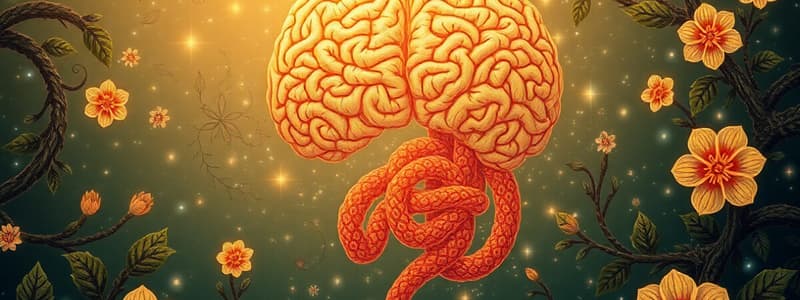 Gut-Brain Axis Overview