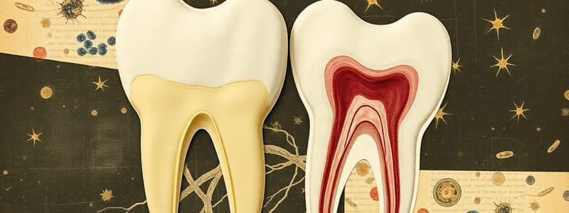 Periodontal Ligament Cell Functions