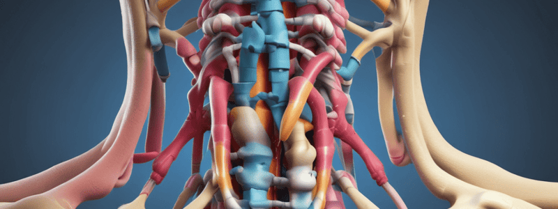 Spinal Ligamentous Support Quiz