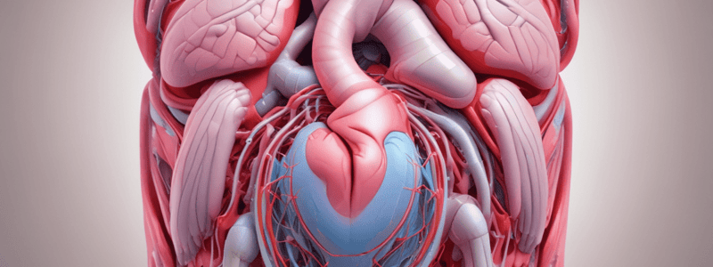 Relieving Aortocaval Compression in Pregnancy