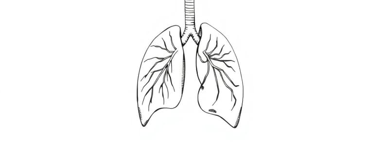 Patofisiologia dell'ARDS e Ventilazione Meccanica (Fisiologia 42)