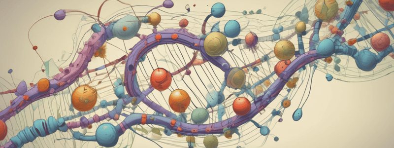 Molecular Biology: mRNA Structure and Translation