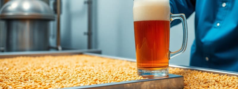 Malt Production and Brewing Process