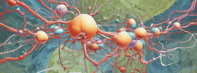 Amino Acid Metabolism: Biosynthesis of NEAA and Specialized Products (Medium)